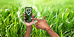Eco Rating - Sustainable smartphones