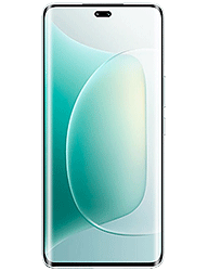 Honor 300 Pro