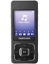 Samsung SGH-F300