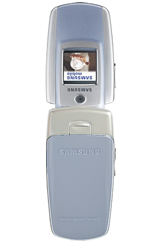 Samsung SGH-M300