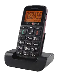 Swisstone&nbsp;BBM 300