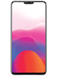 Vivo X21