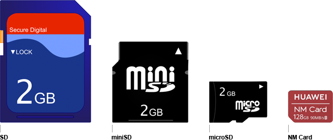 Comparaison de la taille des cartes m&eacute;moiren